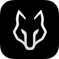 console.backhub.pro favicon
